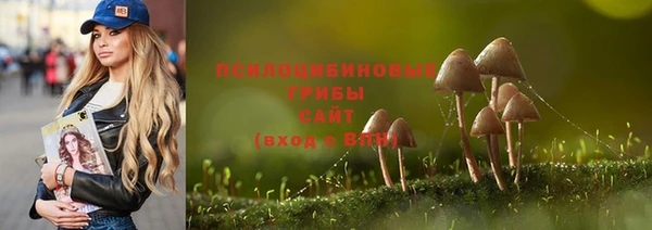 альфа пвп Богородск