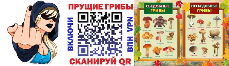 Псилоцибиновые грибы Psilocybine cubensis Троицк