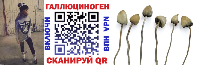 Псилоцибиновые грибы Cubensis Троицк